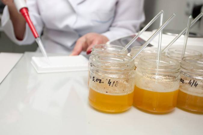 სოფლის მეურნეობის სამინისტროს ლაბორატორიაში კვლევა თაფლის ყველა ხარისხობრივ მაჩვენებელზე ტარდება
