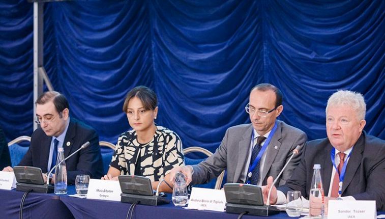 ატომური ენერგიის საერთაშორისო სააგენტოს მე-11 ტექნიკური შეხვედრა გაიმართა