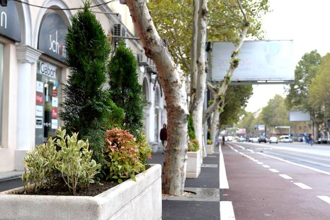 პეკინის ქუჩის რეაბილიტაციის ფარგლებში გამწვანების სამუშაოები მიმდინარეობს